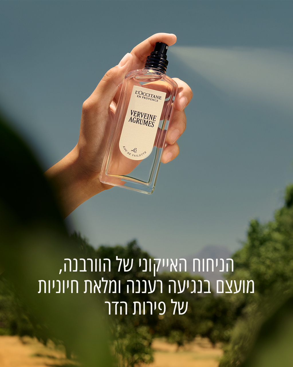 בושם או דה טואלט וורבנה הדרים