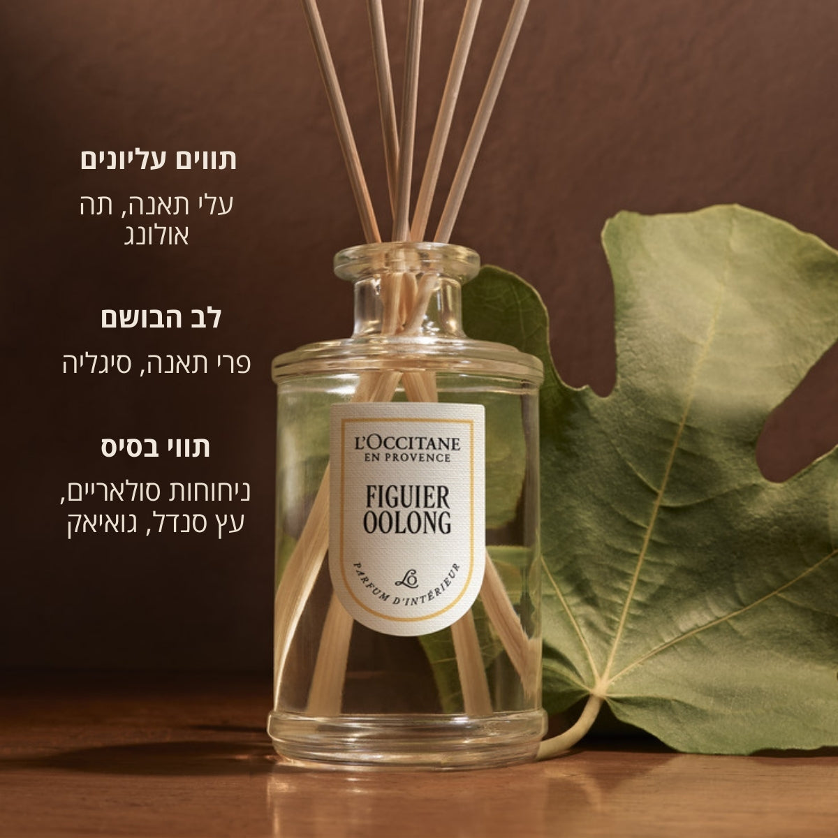 טיפוח לגבר ל'אוקסיטן