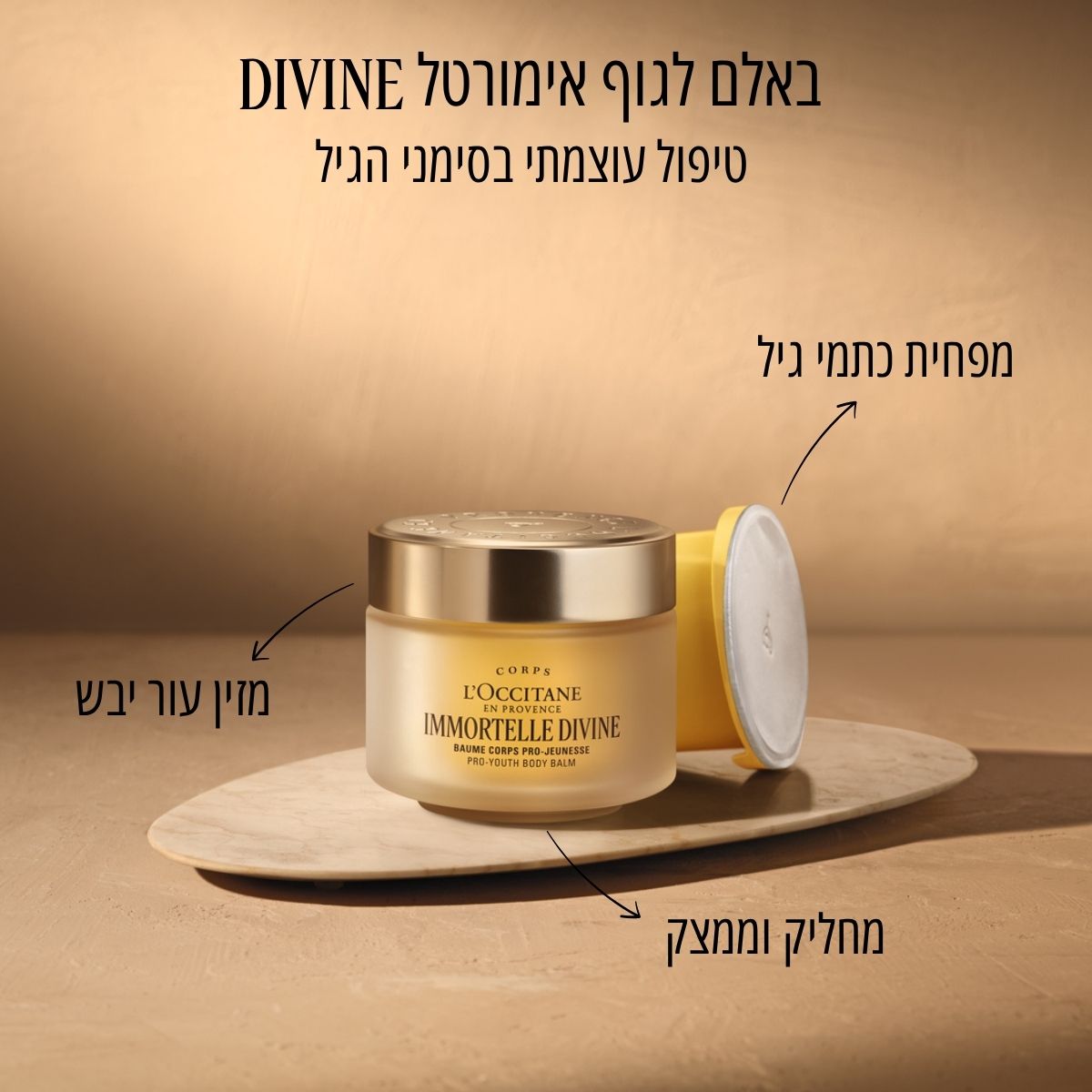 באלם לגוף אימורטל DIVINE