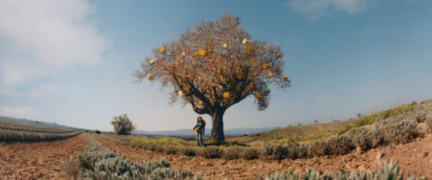 קולקציית מתנות מבית ל'אוקסיטן – קרמים ובשמים