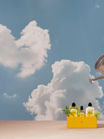 קרם גוף חלבי וורבנה מימוזה