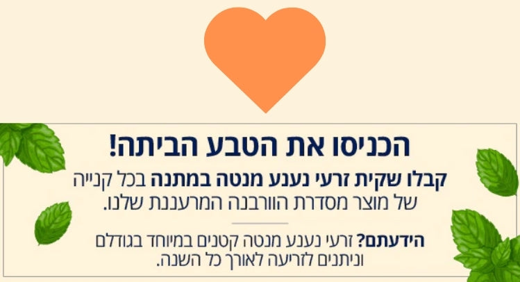 מוצרי טיפוח גוף ל'אוקסיטן