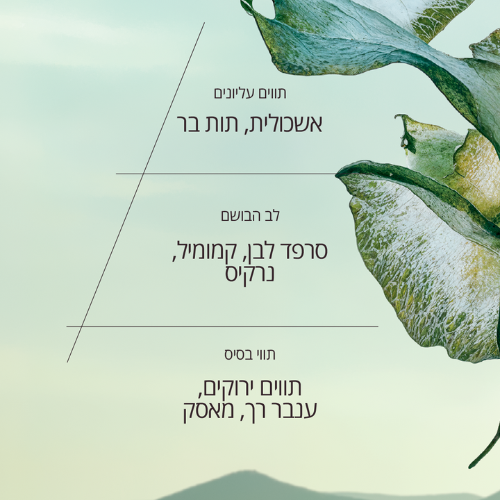 קרם ידיים מבושם סרפד לבן (אריזת נסיעה)