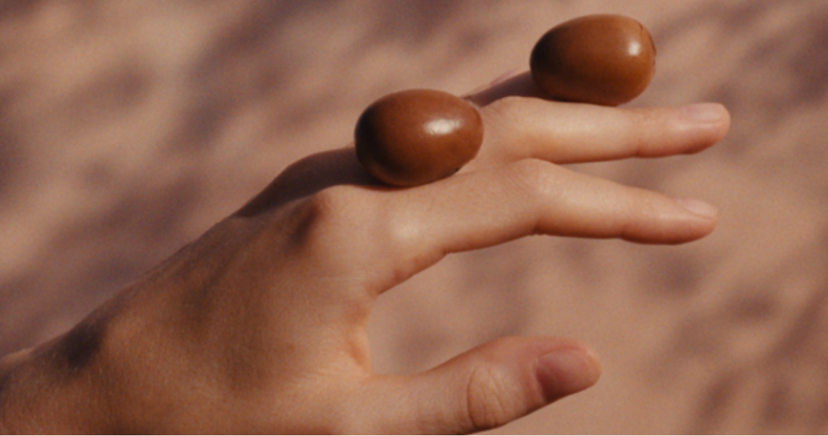 מוצרי חמאת שיאה מבית ל'אוקסיטן – קרם גוף ושפתיים