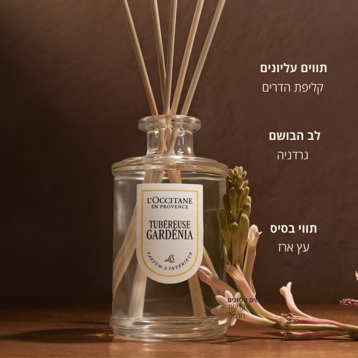 טיפוח לגבר ל'אוקסיטן