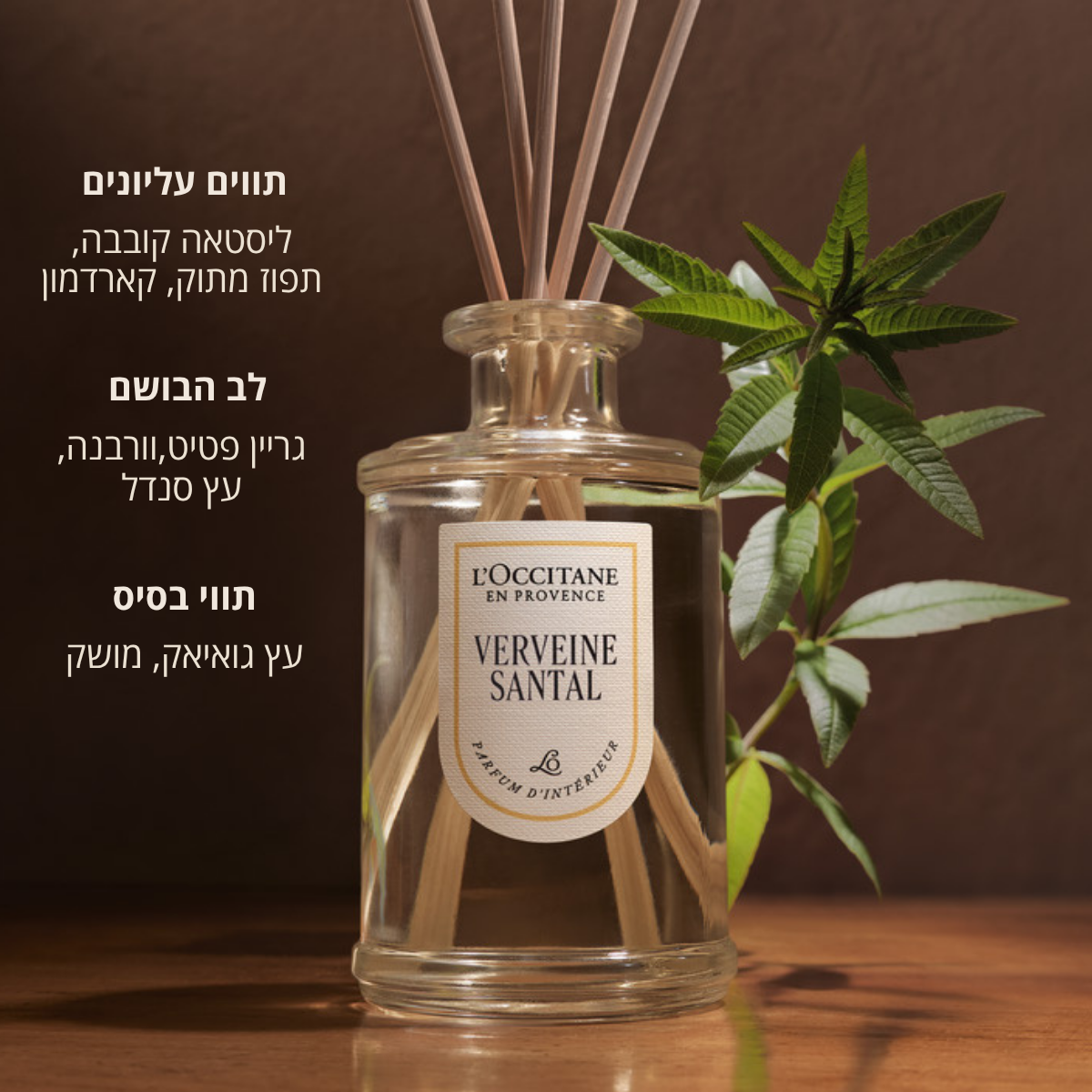 דיפיוזר לבישום הבית בניחוח וורבנה ועץ סנדל