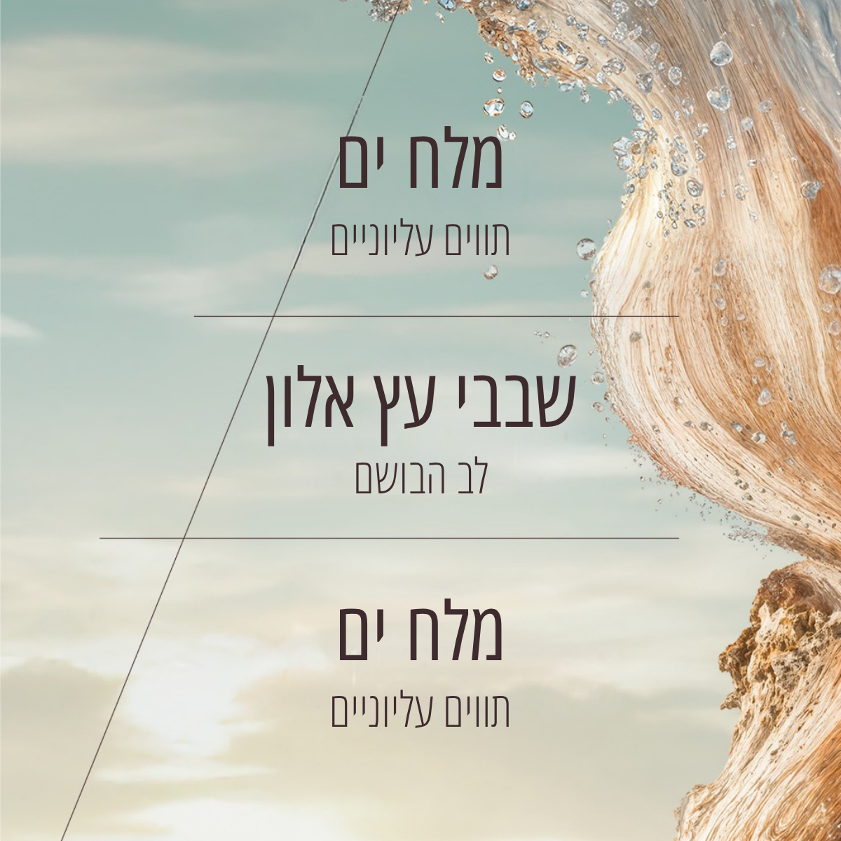 מארז בישום בשכבות אלון מינרלי