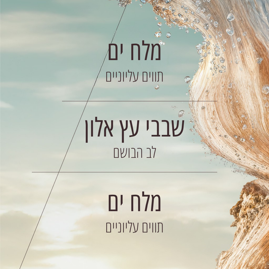 תחליב גוף אלון מינרלי