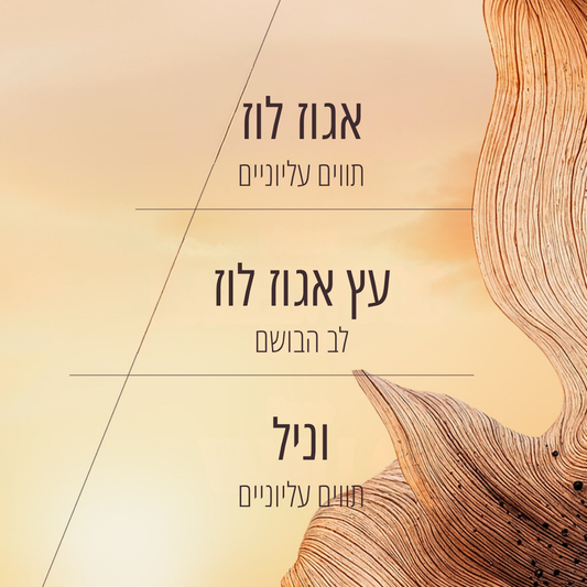 תחליב גוף מבושם וניל ואגוז לוז