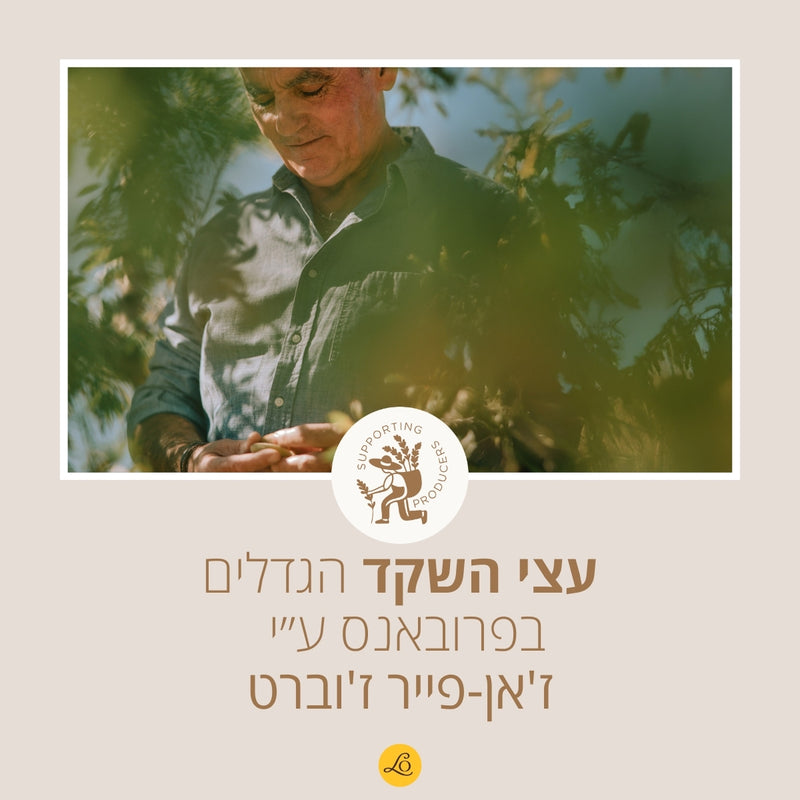 מוצרי שקדים מבית ל'אוקסיטן – טיפוח גוף ושיער