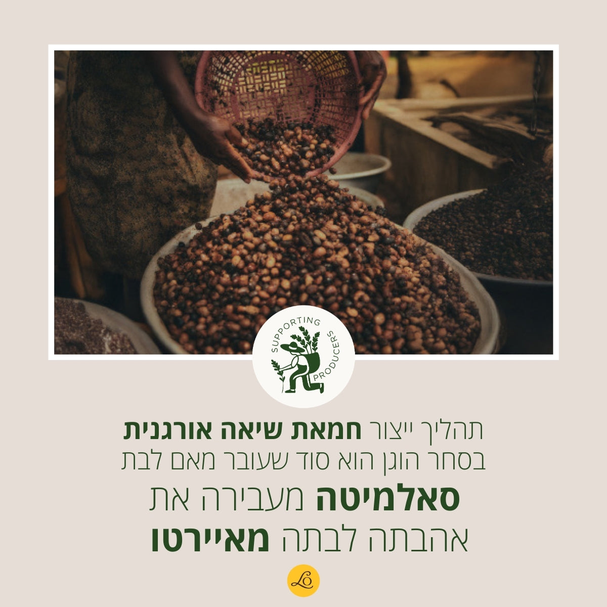 קולקציית שיאה של ל'אוקסיטן – טיפוח יומיומי לעור יבש