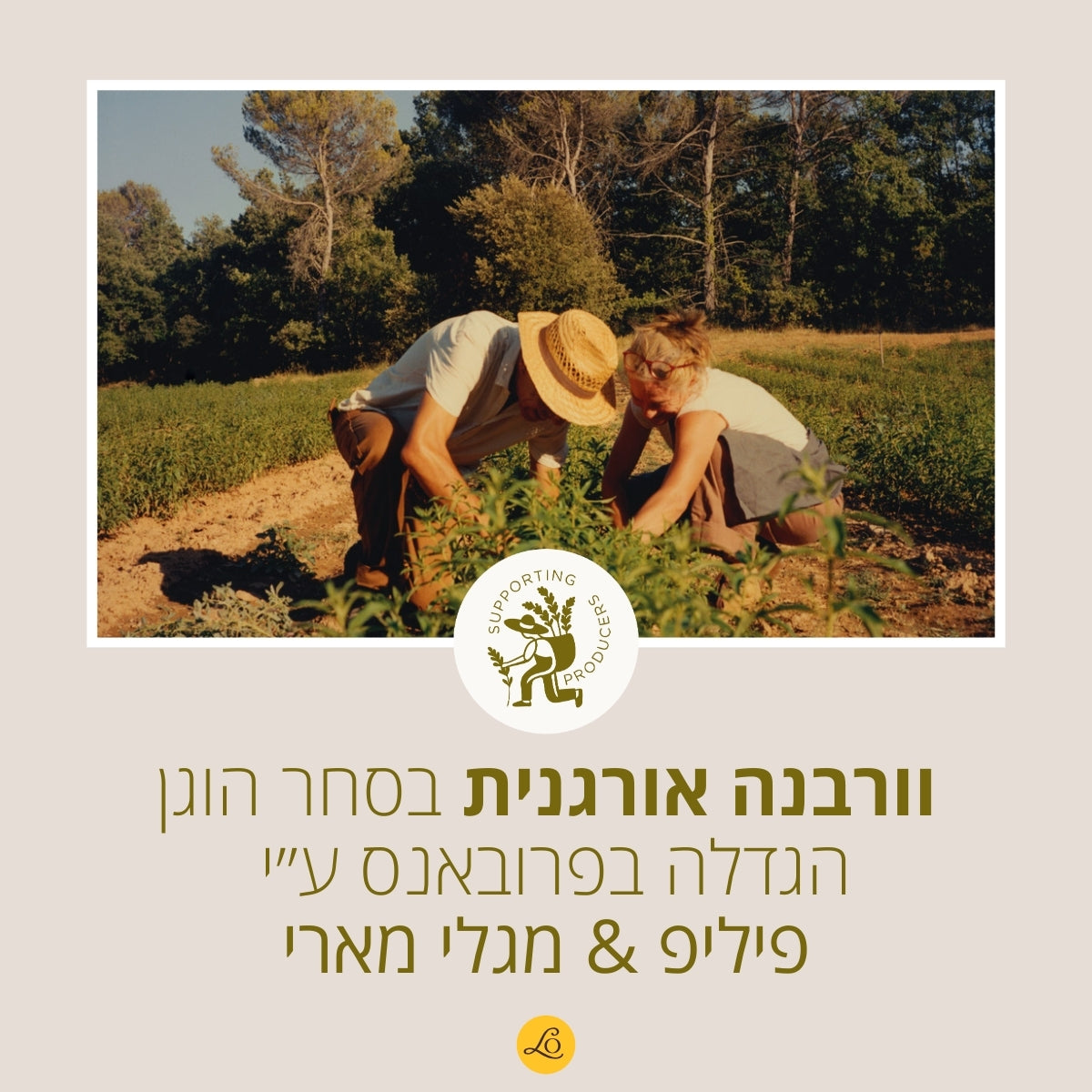 קולקציית ורבנה ל'אוקסיטן – סבון, קרם גוף ובשמים