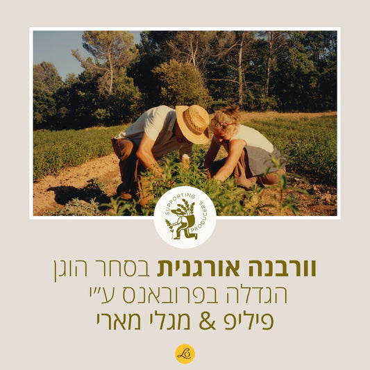קולקציית ורבנה ל'אוקסיטן – סבון, קרם גוף ובשמים