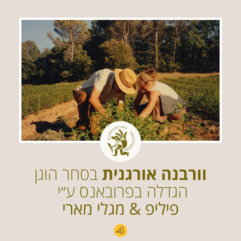 קולקציית ורבנה ל'אוקסיטן – סבון, קרם גוף ובשמים