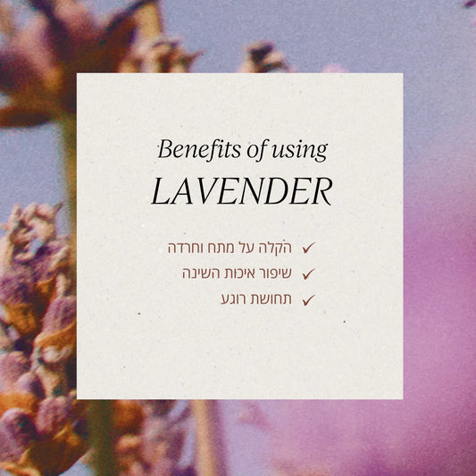 סדרת לבנדר ל'אוקסיטן – בושם, קרם גוף ומוצרי רחצה