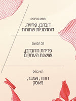 קולקציית פריחת הדובדבן מבית ל'אוקסיטן – מוצרי טיפוח וניחוח עדין
