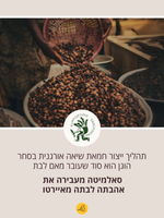 טיפוח לגבר ל'אוקסיטן