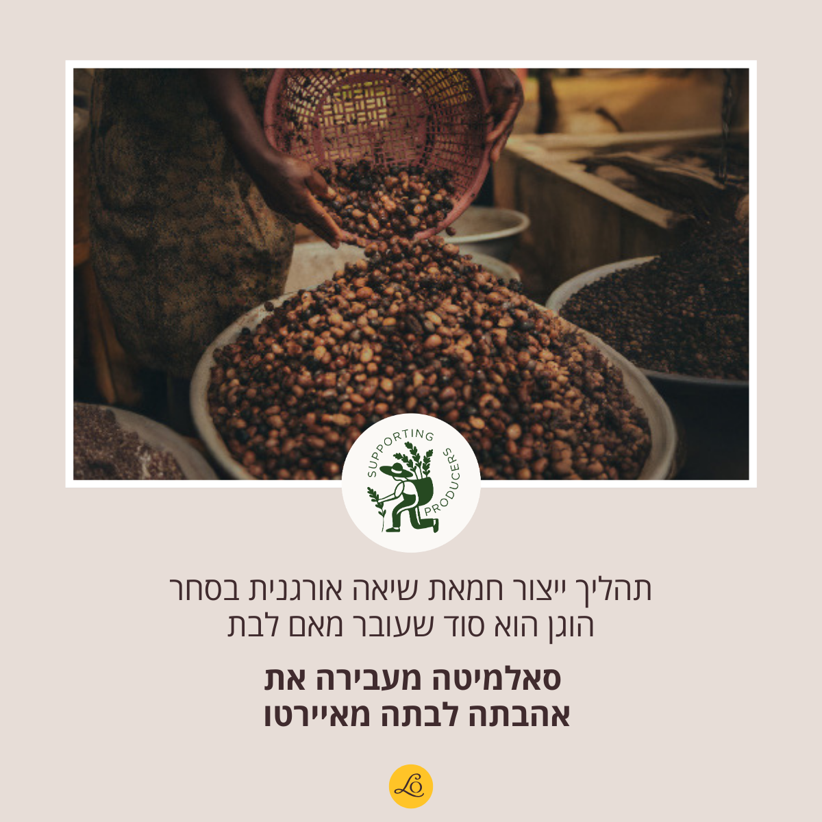 טיפוח לגבר ל'אוקסיטן