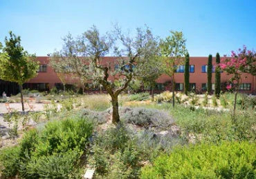 טיפוח לגבר ל'אוקסיטן