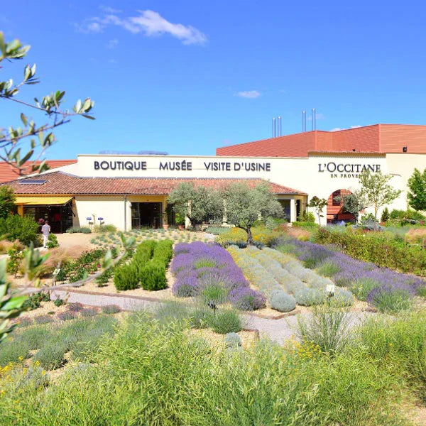 מוצרי טיפוח גוף ל'אוקסיטן