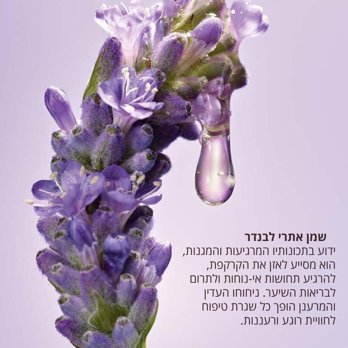 קולקציית שיער ל'אוקסיטן – שמפו, מסכה ושמן לשיער