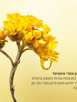 מוצרי טיפוח שיער ל'אוקסיטן – חיזוק והזנה