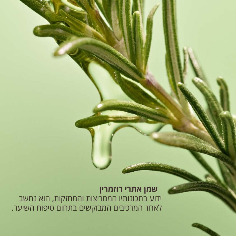 קולקציית שיער ל'אוקסיטן – שמפו, מסכה ושמן לשיער