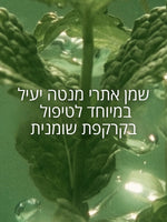 קולקציית שיער ל'אוקסיטן – שמפו, מסכה ושמן לשיער