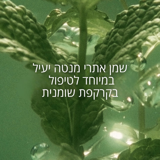 קולקציית שיער ל'אוקסיטן – שמפו, מסכה ושמן לשיער
