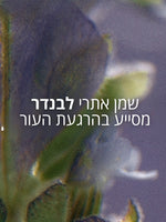 קולקציית שיער ל'אוקסיטן – שמפו, מסכה ושמן לשיער