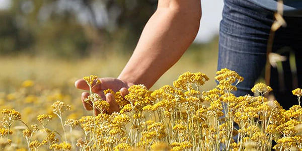 מוצרי רחצה ל'אוקסיטן