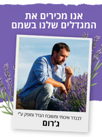 קולקציית מוצרי ל'אוקסיטן