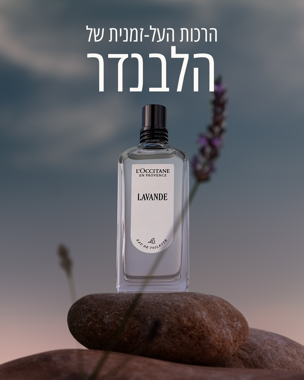 בושם או דה טואלט לבנדר
