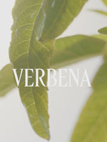 בושם א.ד.ט וורבנה הדרים ללא אלכוהול