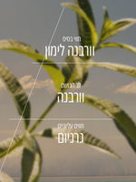 בושם או דה טואלט רול און וורבנה