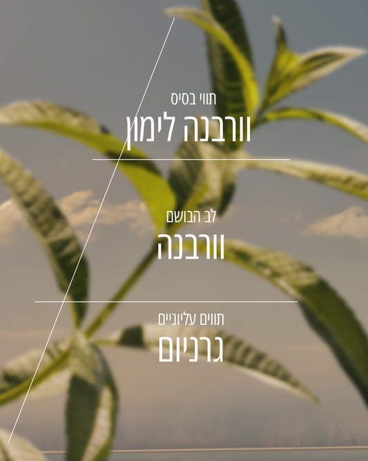 בושם או דה טואלט וורבנה