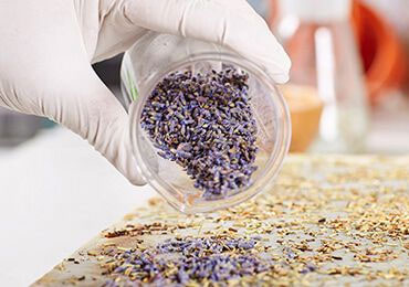 our-formulation-m3-11-lvl2-img-04