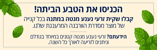 18629_Mint_EMbanner_01